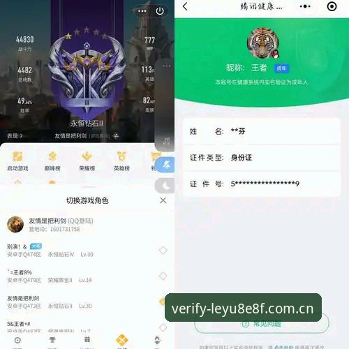 乐鱼体育平台登录入口全攻略：真实用户评测与问题解决实战记录